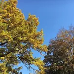 Stadt-gut-hotels - Kleine Weimar (Thuringia)