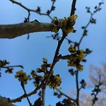 Stadt-gut-hotels - Kleine Maison d'hôtes Weimar (Thuringia)