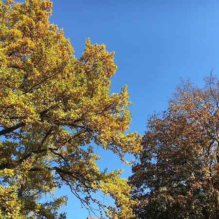 בית הארחה Stadt-gut-hotels - Kleine