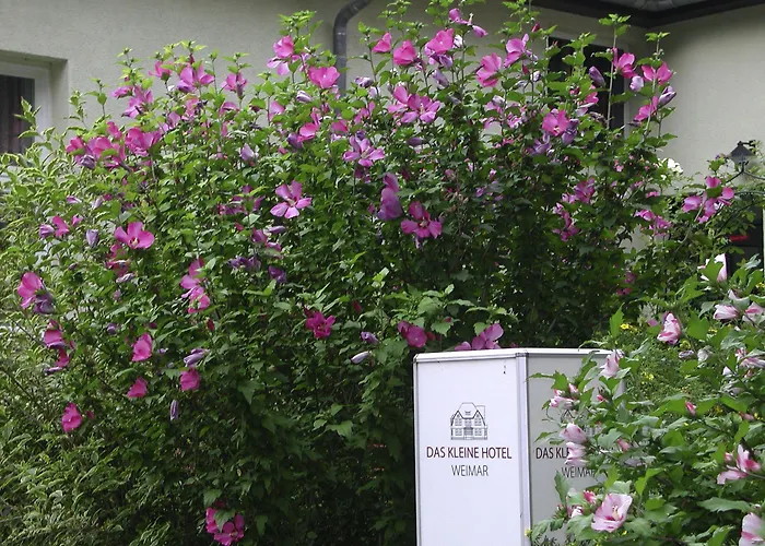 Stadt-gut-hotels - Kleine