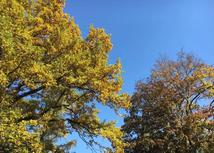 Stadt-gut-hotels - Kleine Weimar (Thuringia)