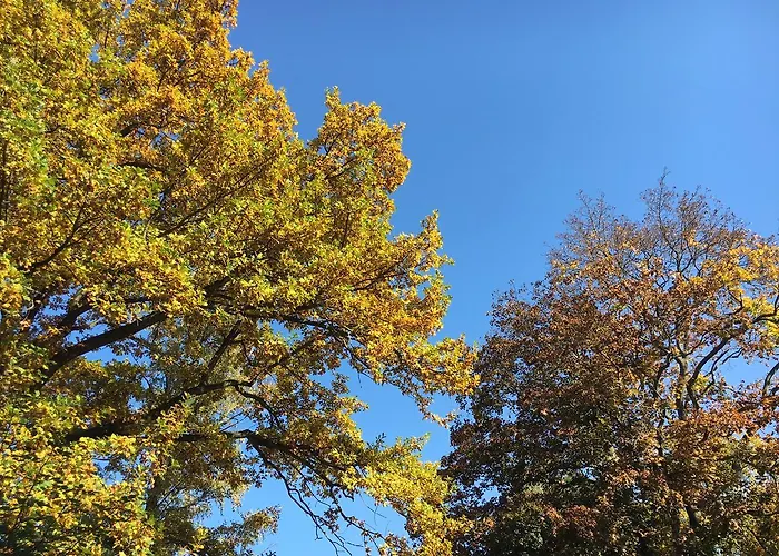 Pensión Stadt-gut-hotels - Kleine